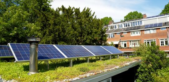 Pflege Dachbegrünung Photovoltaik
